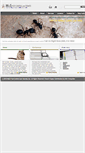 Mobile Screenshot of mspesttermite.com